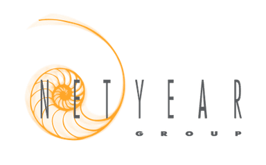 netyear